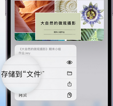 丰南apple维修中心分享iPhone文件应用中存储和找到下载文件