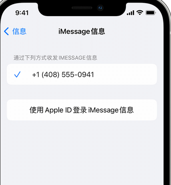 丰南apple维修iPhone上无法正常发送iMessage信息 