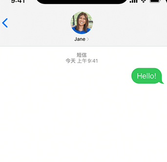 丰南apple维修iPhone上无法正常发送iMessage信息