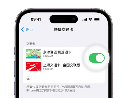 丰南apple维修点分享iPhone上更换Apple Pay快捷交通卡手绘卡面 