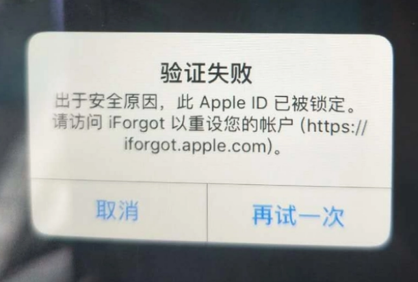 丰南iPhone维修分享iPhone上正常登录或使用AppleID怎么办 