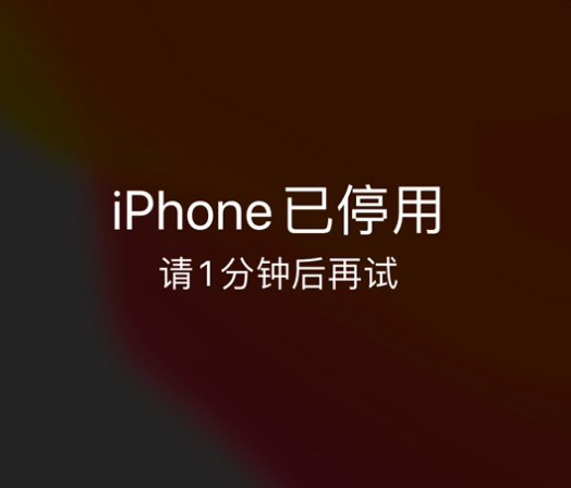 丰南苹果手机维修分享:iPhone 显示“不可用”或“已停用”怎么办？还能保留数据吗？ 