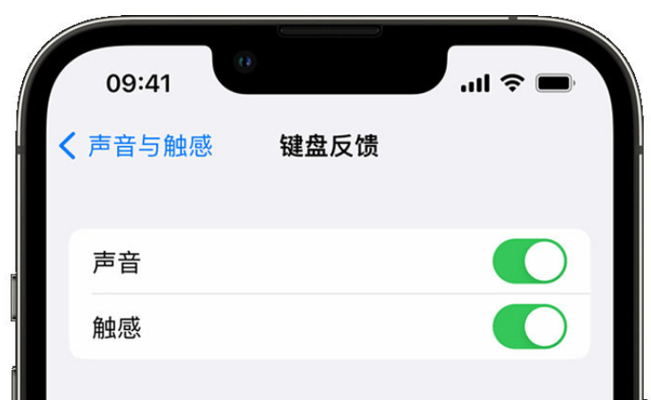 丰南苹果手机维修分享iPhone 14触感键盘使用方法 