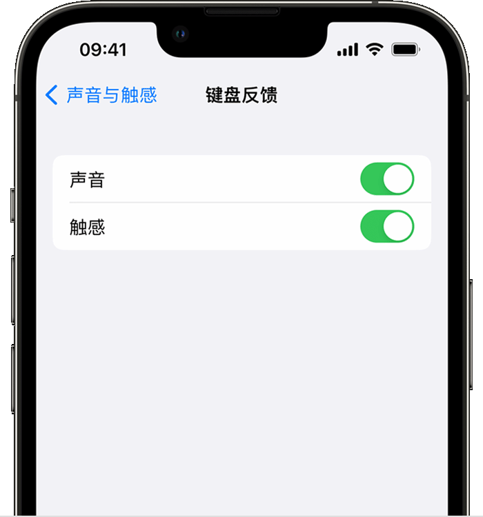 丰南苹果14维修店分享如何在 iPhone 14 机型中使用触感键盘 