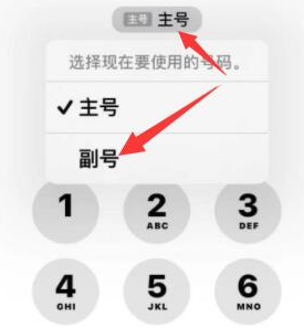 丰南苹果14维修店分享iPhone 14 Pro Max使用副卡打电话的方法 