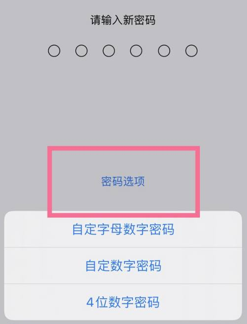 丰南苹果14维修分享iPhone 14plus设置密码的方法 