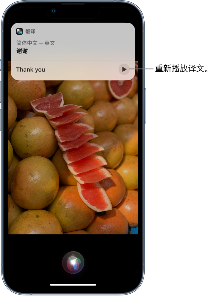 丰南苹果14维修分享 iPhone 14 机型中使用 Siri：了解 Siri 能帮你做什么 