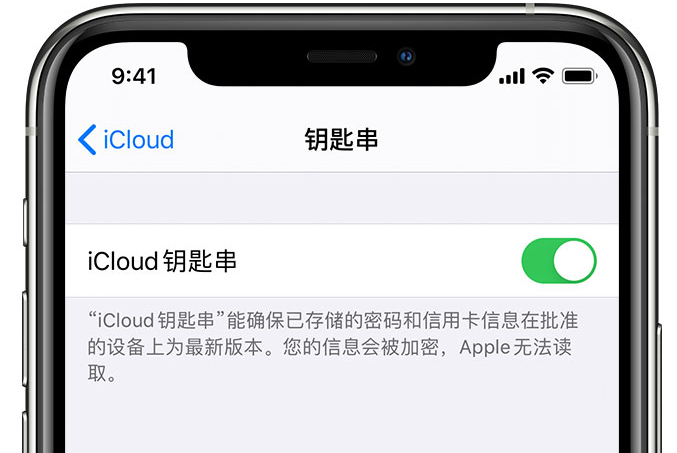 丰南苹果手机维修分享在 iPhone 上开启 iCloud 钥匙串之后会储存哪些信息 