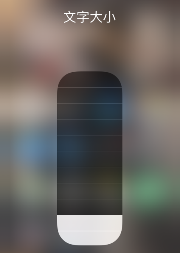 丰南苹果手机维修分享小技巧：在 iPhone 控制中心快速调节字体大小 