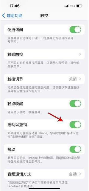 丰南苹果手机维修分享iPhone手机如何设置摇一摇删除文字 