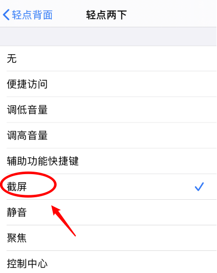 丰南苹果手机维修分享iPhone12如何启用双击截屏 