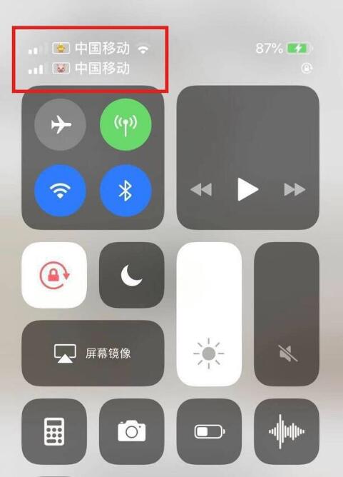 丰南苹果手机维修分享为 iPhone 12 双卡设置标签 