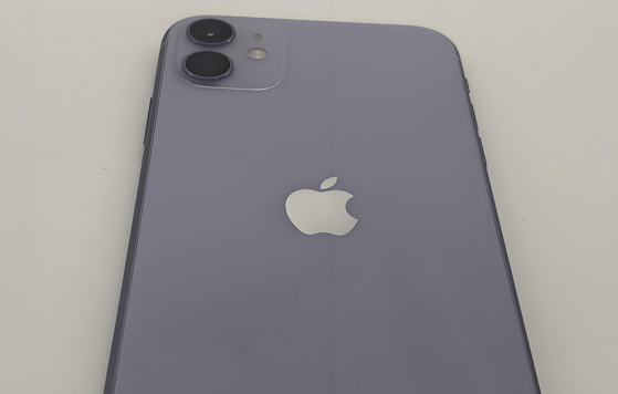 丰南苹果11系统维修分享iPhone11手机系统崩溃无法开机如何解决 